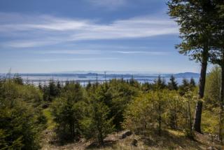 945 Chuckanut Ridge Dr, Samish Island, WA