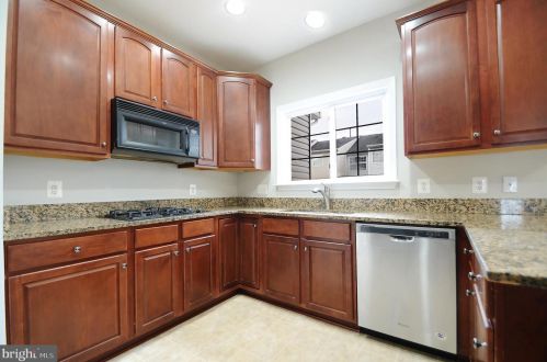 209 Hawks View Sq, Leesburg VA  20175-4103 exterior