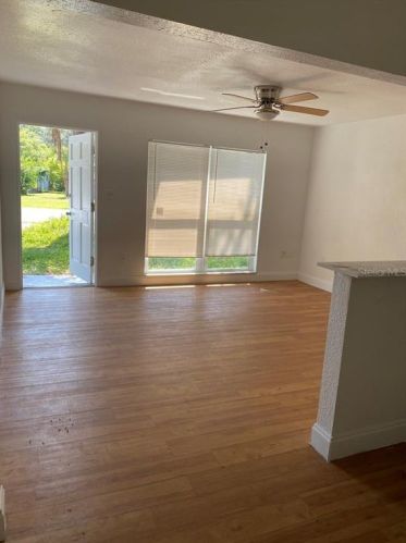 7316 Royal Palm Dr, New Port Richey FL  34652-1129 exterior