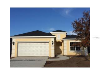 16822 Rosedown Gln, Parrish, FL 34219-2795