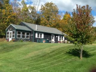 465 Blind Buck Rd, West Hebron, NY 12865-2810