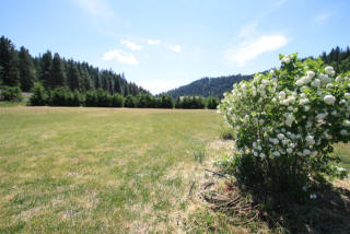 15131 Chumstick Hwy, Plain, WA 98826-9522