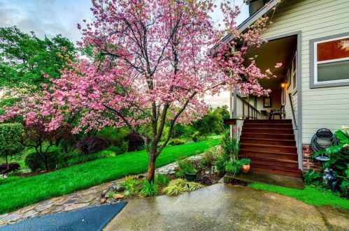 1325 Desmond Ln, Newcastle CA  95658-9683 exterior