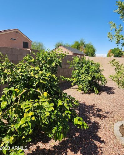 2135 St Pedro Ave, Casa Grande AZ  85122-6363 exterior