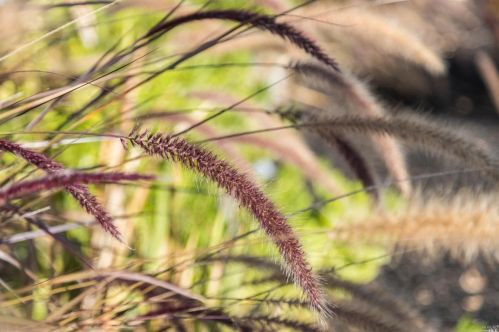 283 Cecilia Way, Tiburon CA  94920-2105 exterior