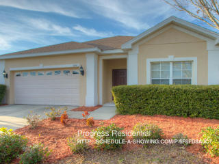 10311 Celtic Ash Dr, Ruskin FL  33573-6740 exterior