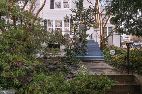 2150 Cathedral Ave, Washington, DC 20008-1502