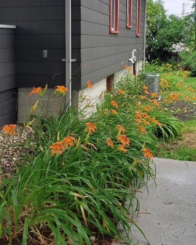 220 Merrimac St, Dodgeville WI  53533-1520 exterior