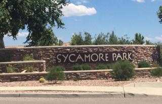 9017 Mystic Meadow Rd, Tucson, AZ 85756-6113