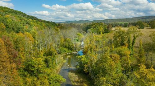 209 Amenia Rd, Wassaic NY  12592-2212 exterior