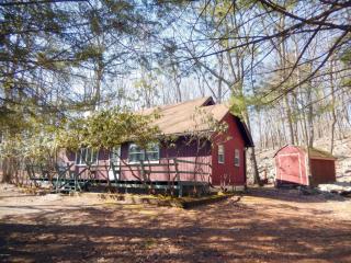 141 Song Mountain Dr, Tafton, PA 18464-9637