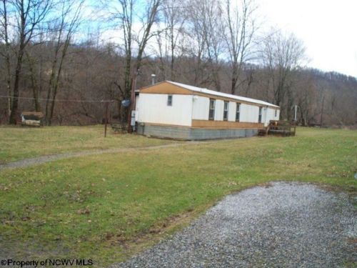 211 Mud Gut Rd, Belington, WV 26250-8045