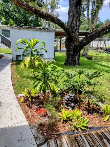 24521 Alligator Rd, Astor FL  32102-2401 exterior