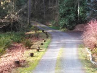 23216 53 Ave, Bothell WA  98021-8015 exterior