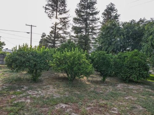 1812 Golf Rd, Turlock CA  95380-9746 exterior