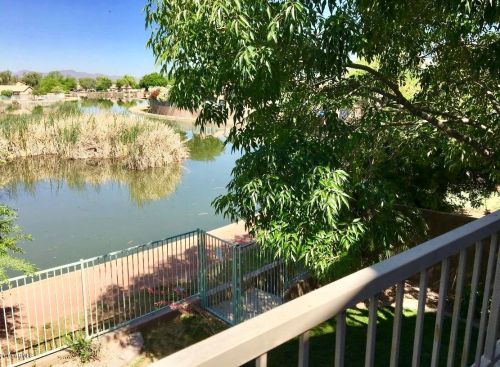 2520 109th Ave, Avondale AZ  85392-5912 exterior