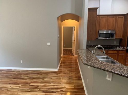 10528 Deerberry Dr, Land O Lakes FL  34638-6947 exterior