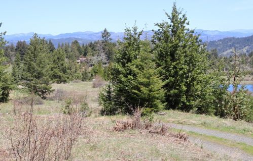 28901 Skyview Rd, Willits CA  95490-8420 exterior