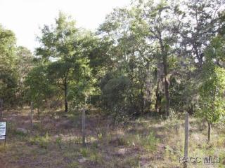 9290 Brittany Path, Inverness, FL 34452-9558