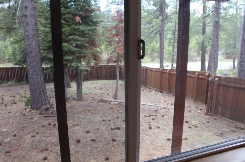1681 Tionontati St, South Lake Tahoe CA  96150-4902 exterior