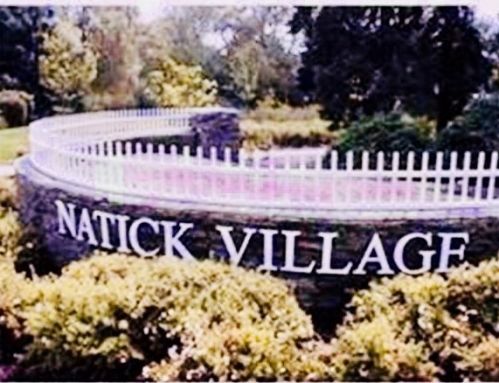 45 Village Brook Ln, Natick MA  01760-3812 exterior