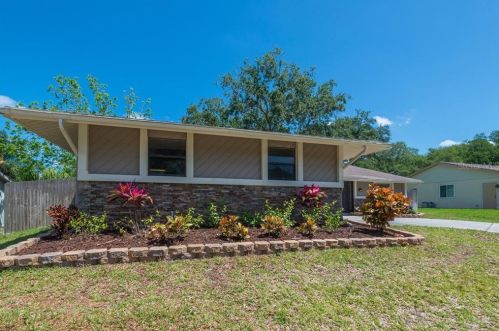 556 Hammock Dr, Palm Harbor, FL 34683-6113
