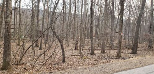 54 Iroquois Dr, Hazle Township, PA 18202-9129