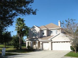 5711 Dijon Ct, Lutz, FL 33558-2873