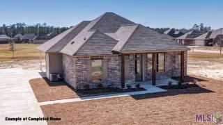 19221 Plantation Trace Dr, Livingston, LA 70754-5048