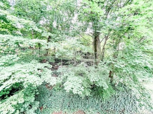 46 Grv St, Putnam CT  06260-2129 exterior