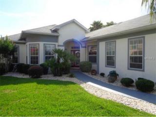 11727 173rd Lane Rd, Summerfield, FL 34491-7897