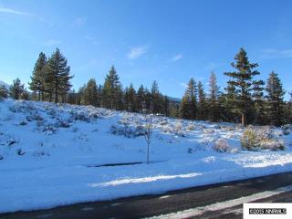 4665 Pinewild Rd, Reno, NV 89511-2775