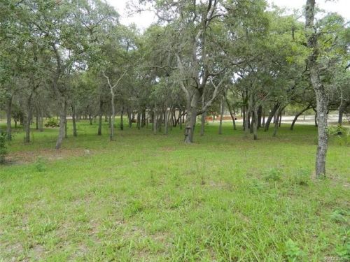 4895 Herman Ct, Homosassa, FL 34446-1926