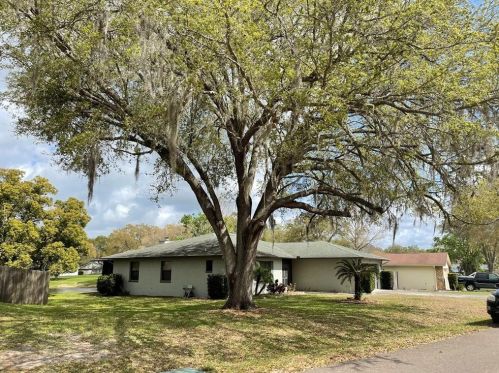 23329 Chelsea Loop, Land O Lakes, FL 34639-4249