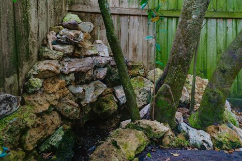 1235 Swearingen Ave, Bartow FL  33830-6550 exterior