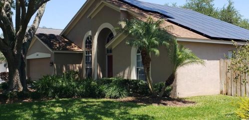 3979 Jenita Dr, Palm Harbor, FL 34685-1196