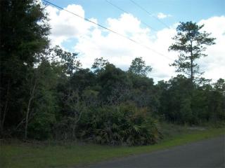 3546 Warbler St, Lecanto FL  34461 exterior