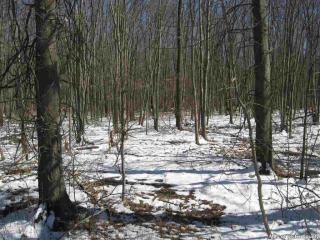 1169 Albany Post Rd, Gardiner, NY 12525-5518
