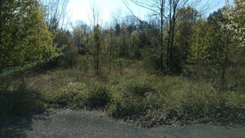 108 Woodfield Ln, Flay, NC 28021-9336