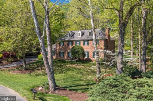 1000 White Chimney Ct, Great Falls, VA 22066-2319