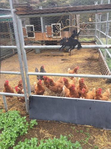 890 Park Pl, El Cajon CA  92021-4300 exterior