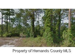 15474 Bailey Hill Rd, Brooksville, FL 34614-2918