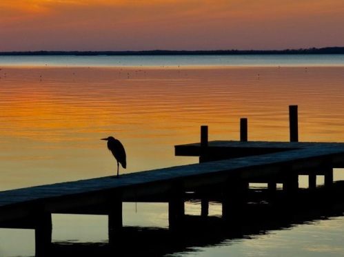 211 Bayshore Dr, Saint George Island FL  32328-3365 exterior