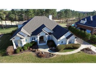 16120 Founders Bridge Ter, Midlothian, VA 23113-6386