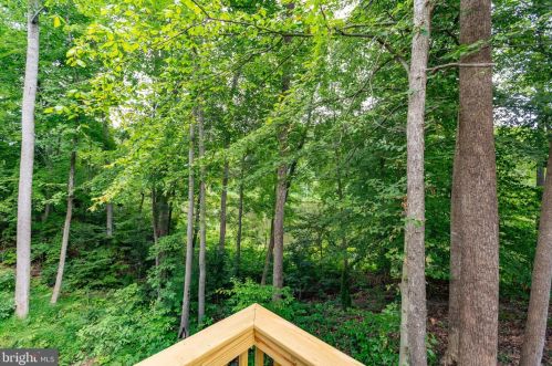 8497 Colfax Dr, Owens VA  22485-7162 exterior