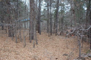 3954 Bermuda Cir, Pinetop AZ  85935-8906 exterior