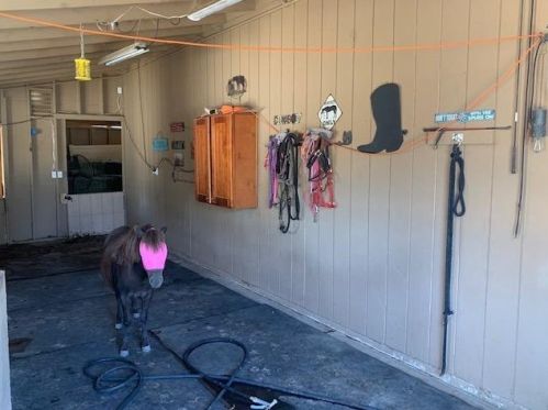 5425 Roselle Ave, Riverbank CA  95367 exterior