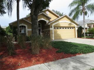 11034 Peppersong Dr, Riverview, FL 33578-3945