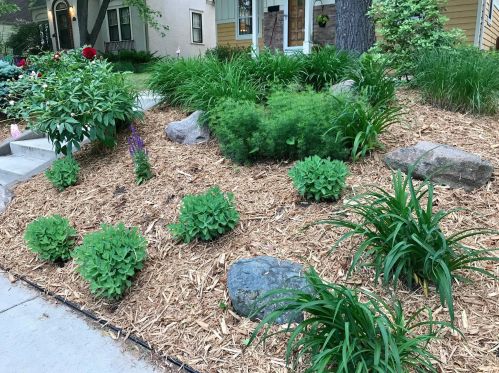 4012 Ewing Ave, Minneapolis MN 55410-1020 exterior