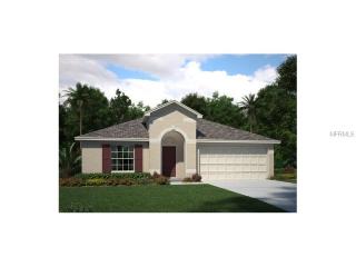 15411 Feather Star Pl, Ruskin, FL 33573-0195